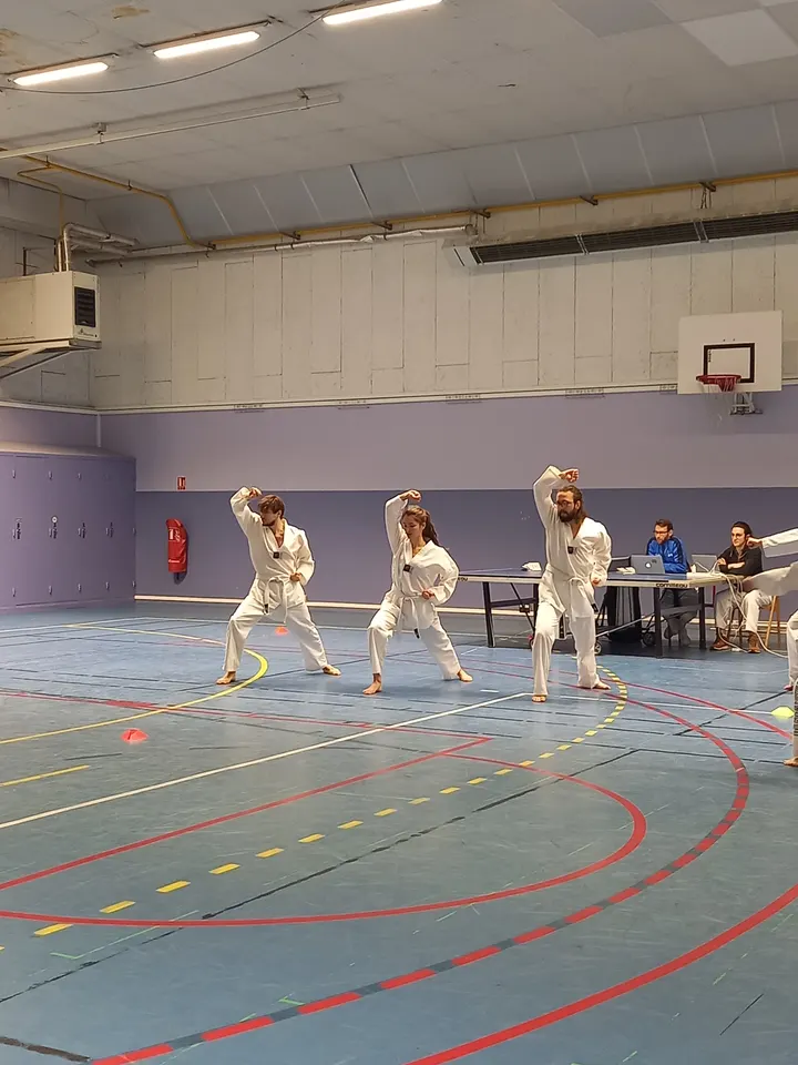 Taekwondo club du Parc — arts martiaux-studio à Lyon — 5