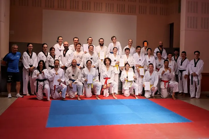 Taekwondo club du Parc — Arts martiaux aux Brotteaux, Lyon