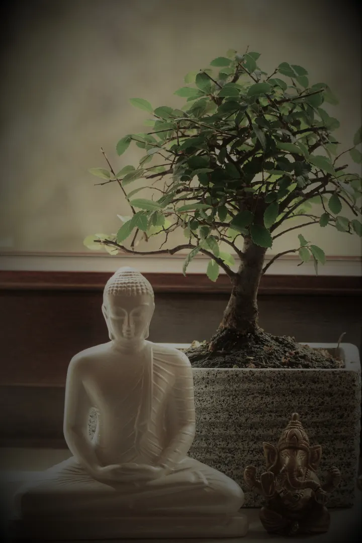 BSG Ratingen — yoga-studio in Ratingen — 3