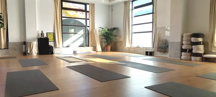 Parashakti Yoga Eskola Donostia — yoga-studio en San Sebastián — 3