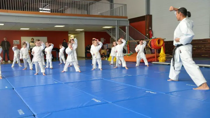 Annecy Dojo Karaté — Arts martiaux à Le Clos Saint-Michel, Annecy