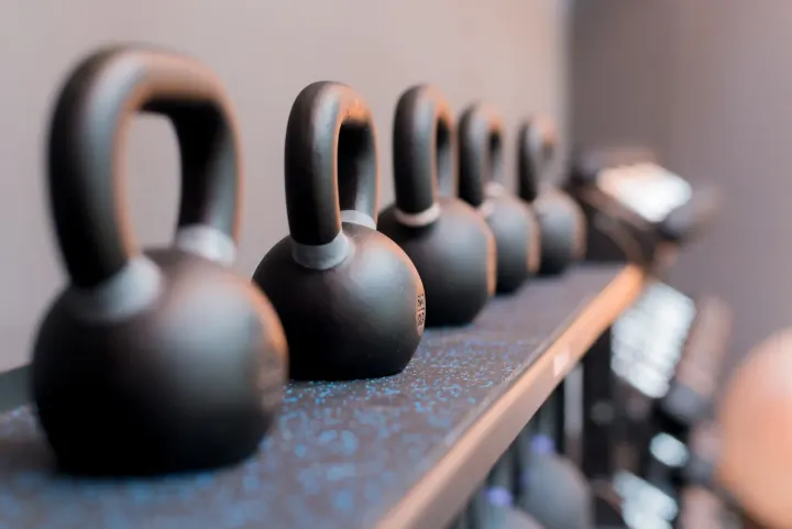 Gotha fitness — palestre-studio a Covignano, Rimini — 3