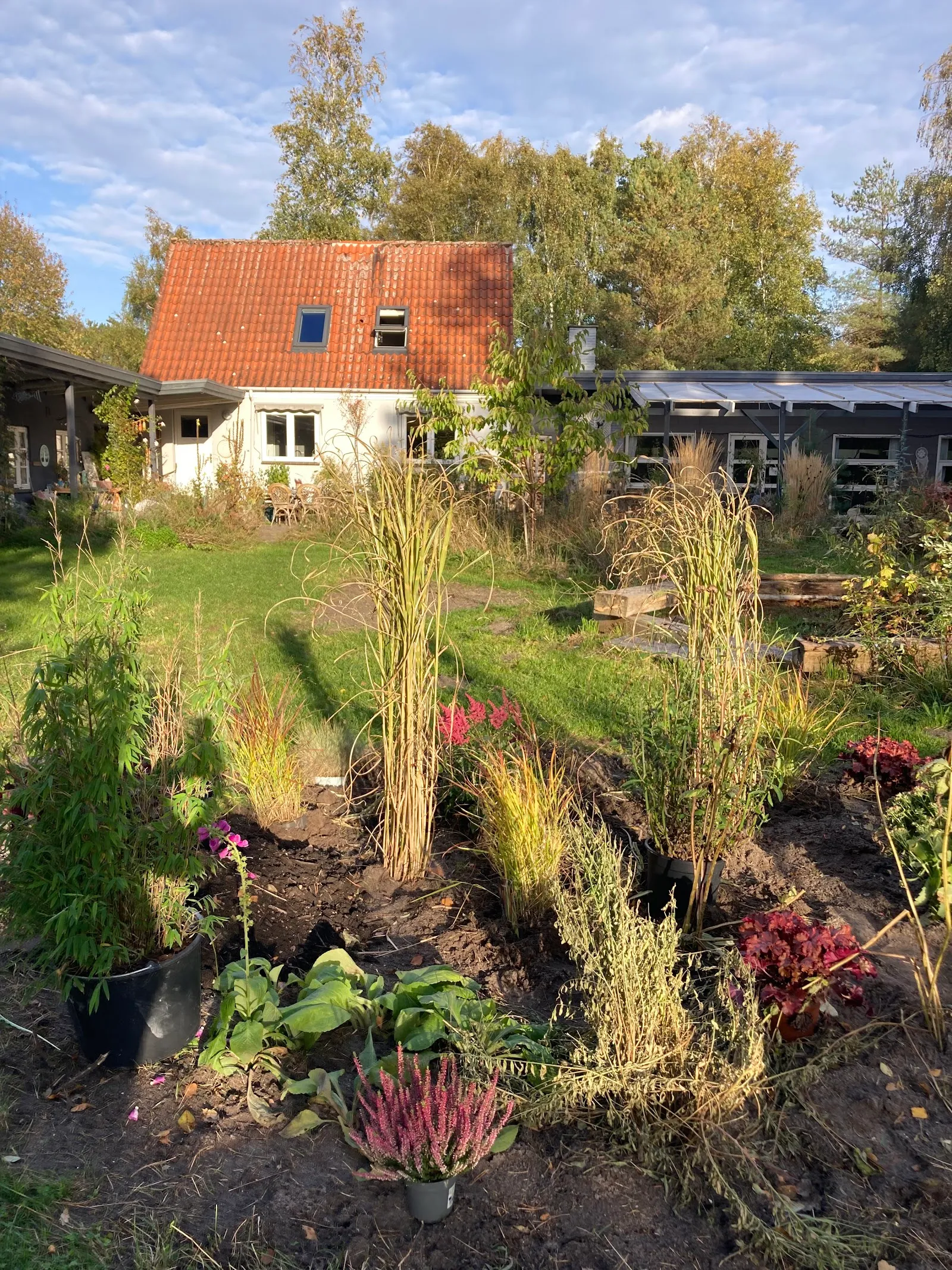 Kærlig Hilsen Yoga — yoga-studio i Højby — 4