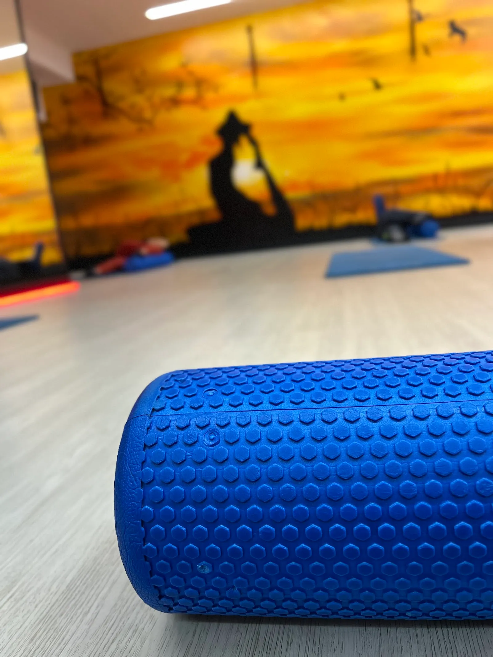 GIMNASIO ELEXALDE — estudio de fitness-studio en Kurtzea — 4