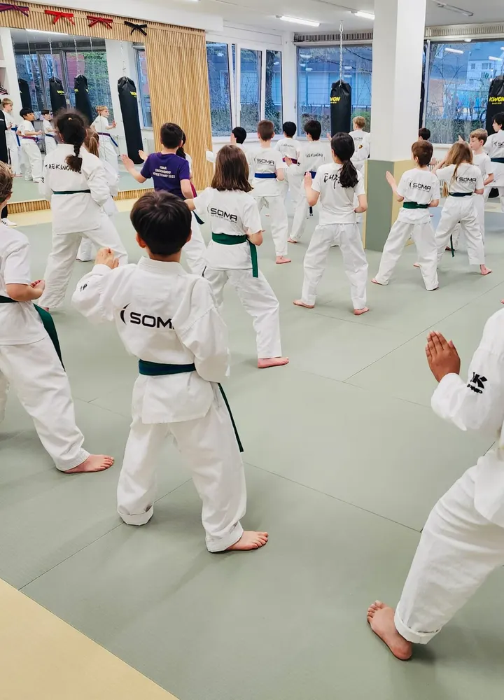 SOMA Taekwondo — kampfsport-studio in Bonn — 4