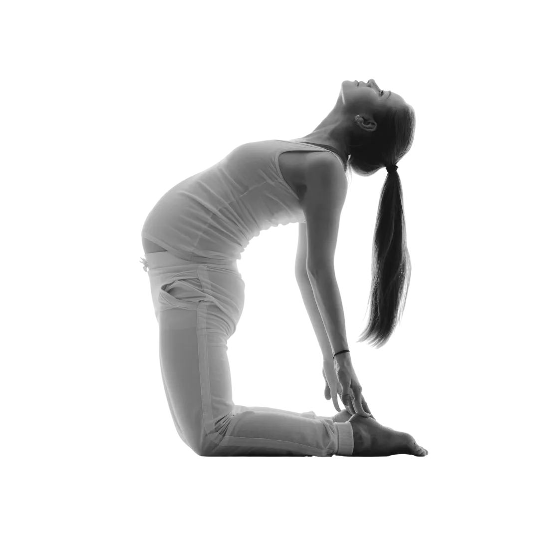 Yoga La Shālā & Pilates — yoga-studio en Las Lagunas de Mijas — 2