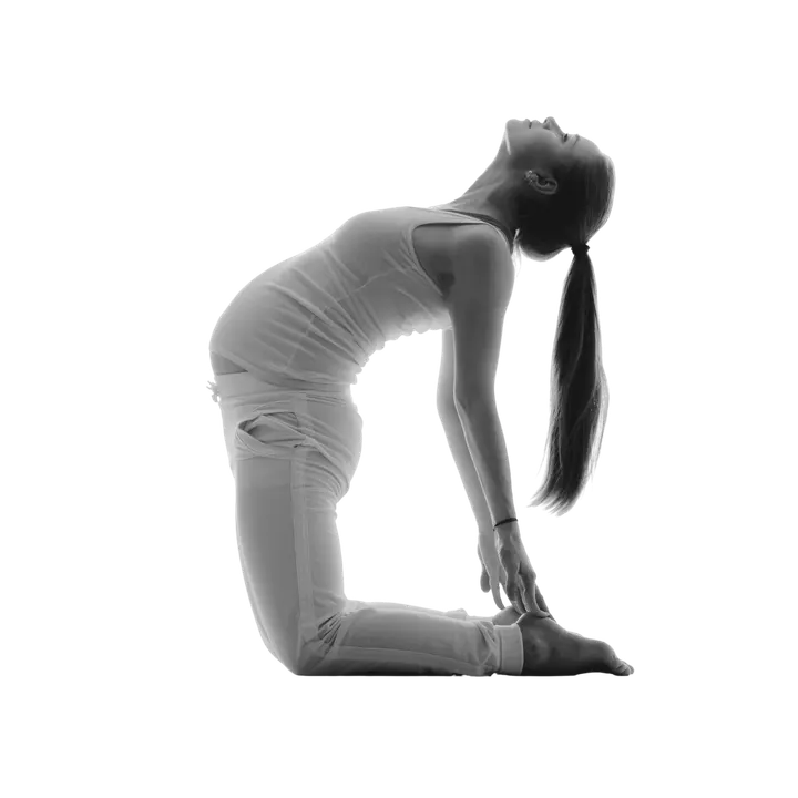 Yoga La Shālā & Pilates — yoga-studio en Las Lagunas de Mijas — 2