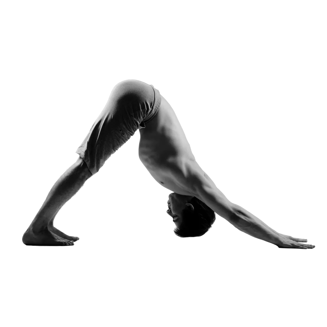 Yoga La Shālā & Pilates — yoga-studio en Las Lagunas de Mijas — 3