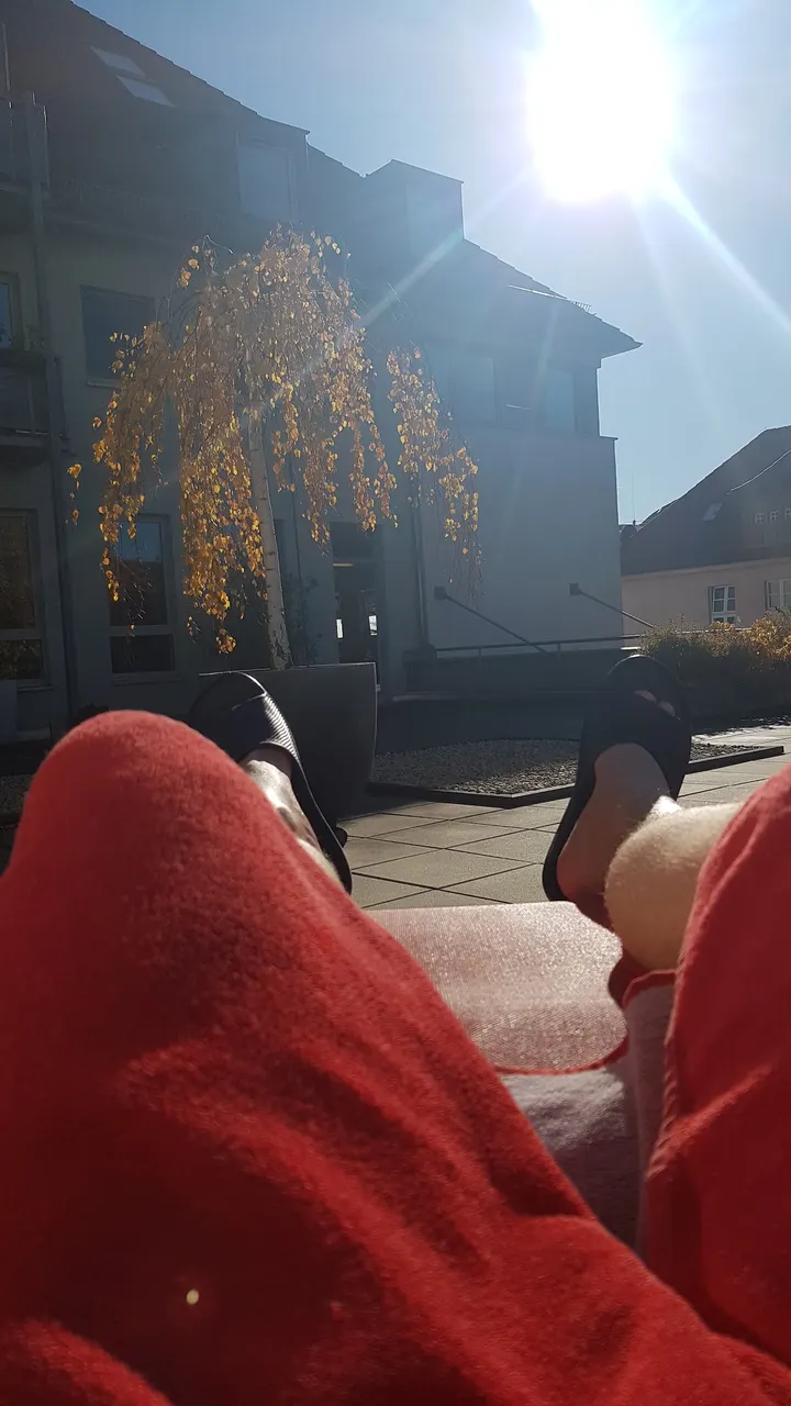 Fitness Erfurt-unlimited XS — fitnessstudio in Erfurt — 5