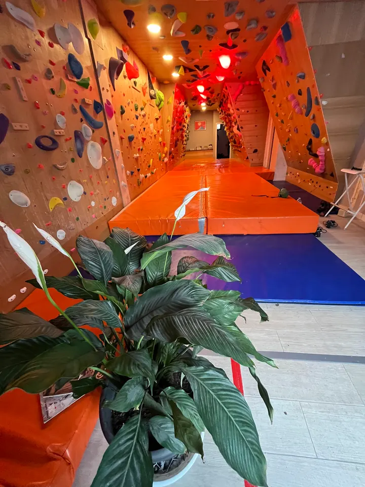 Rocódromo La Roquita — escalada-studio en Valle Vinagre, La Laguna — 2