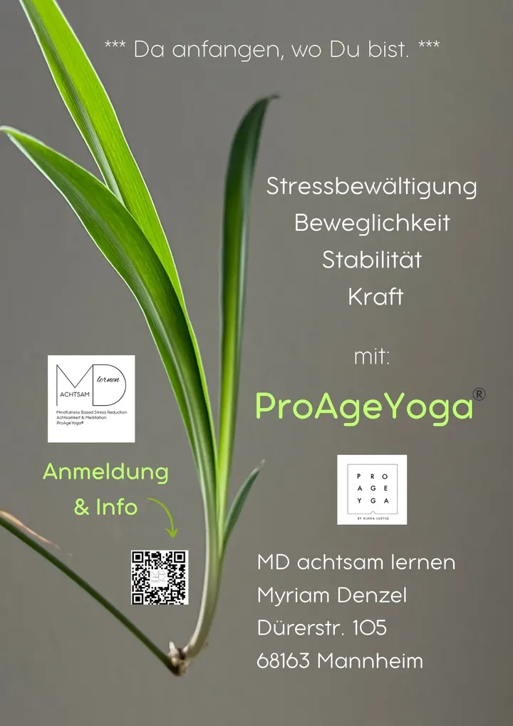 MD achtsam lernen — meditation-studio in Mannheim — 4