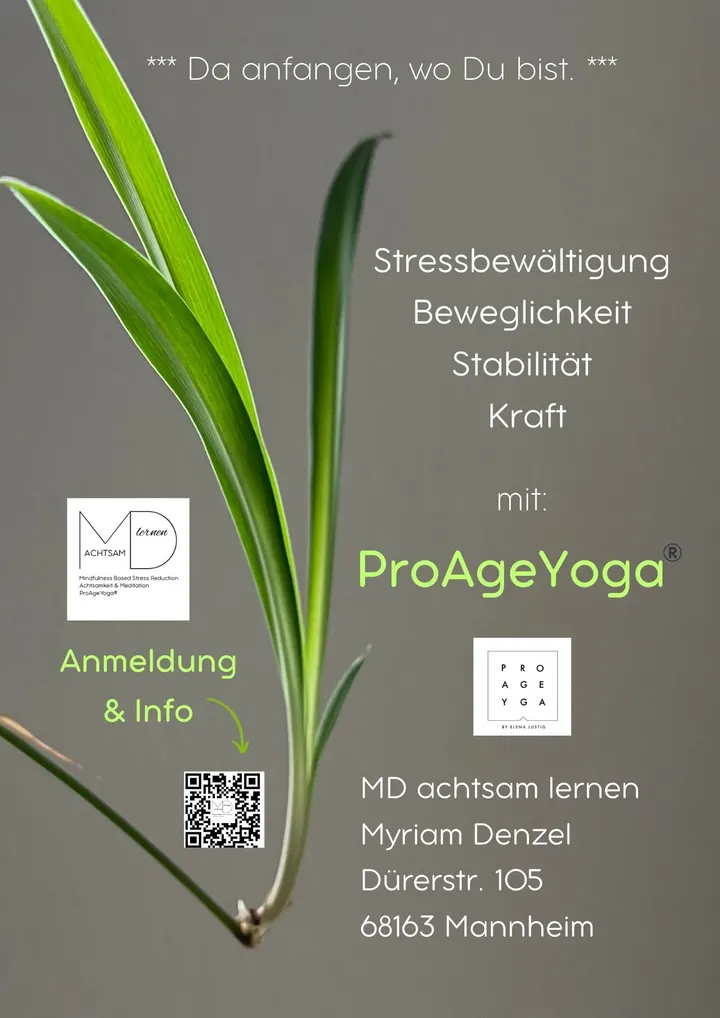 MD achtsam lernen — meditation-studio in Mannheim — 5