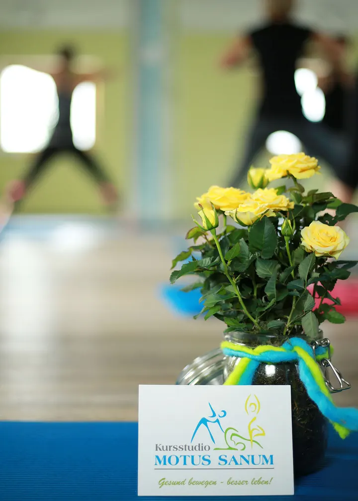 Kursstudio Motus Sanum — yoga-studio in Borsdorf — 5