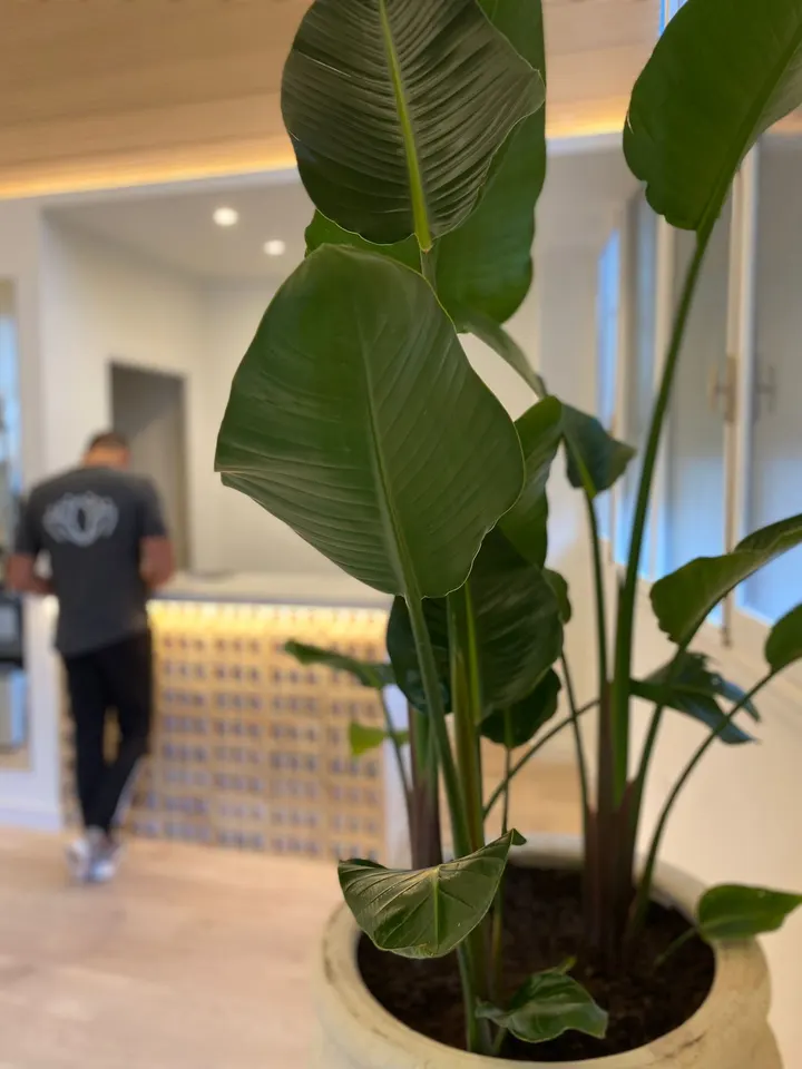 Pure Pilates - La Laguna — pilates-studio en La Manzanilla, La Laguna — 3