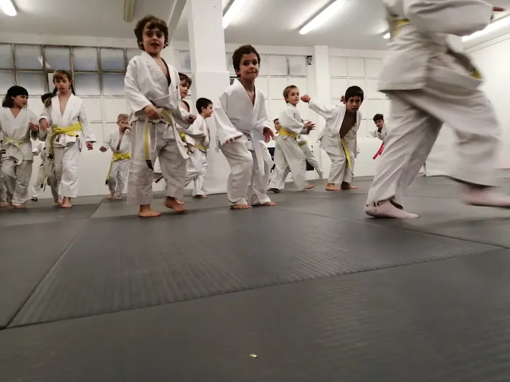 kosenjudo — artes marciales-studio en Bilbao — 3