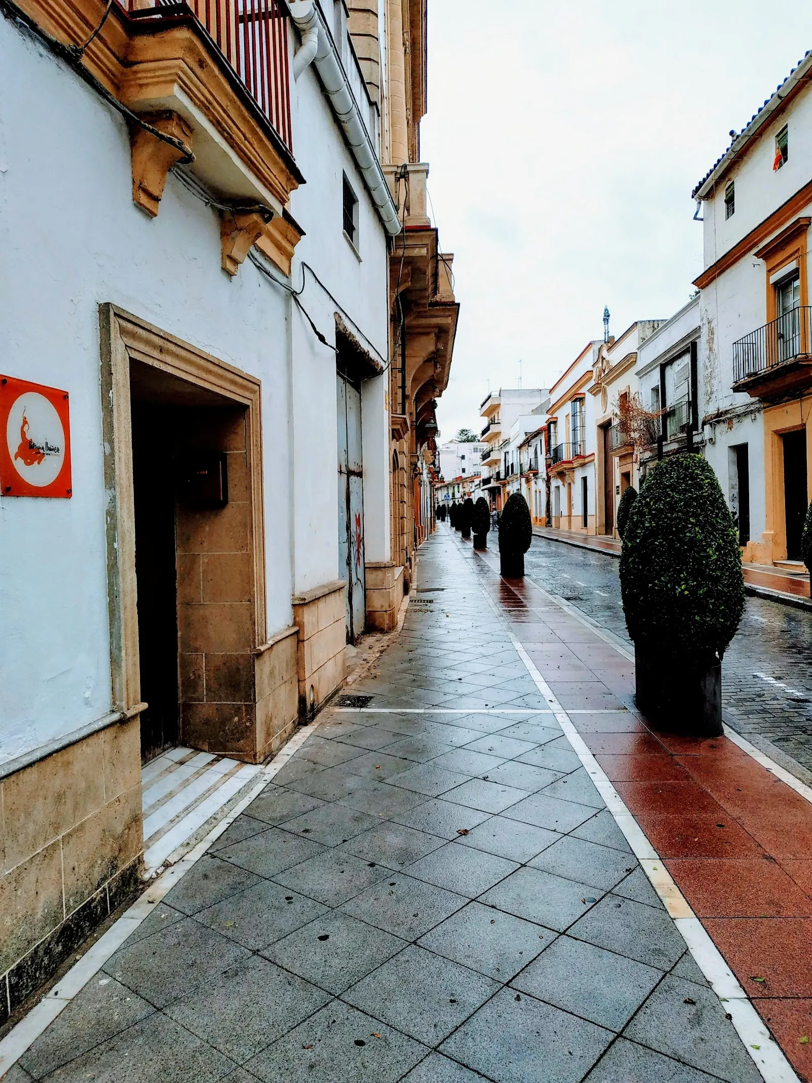 Patricia Ibáñez — baile-studio en Jerez de la Frontera — 3