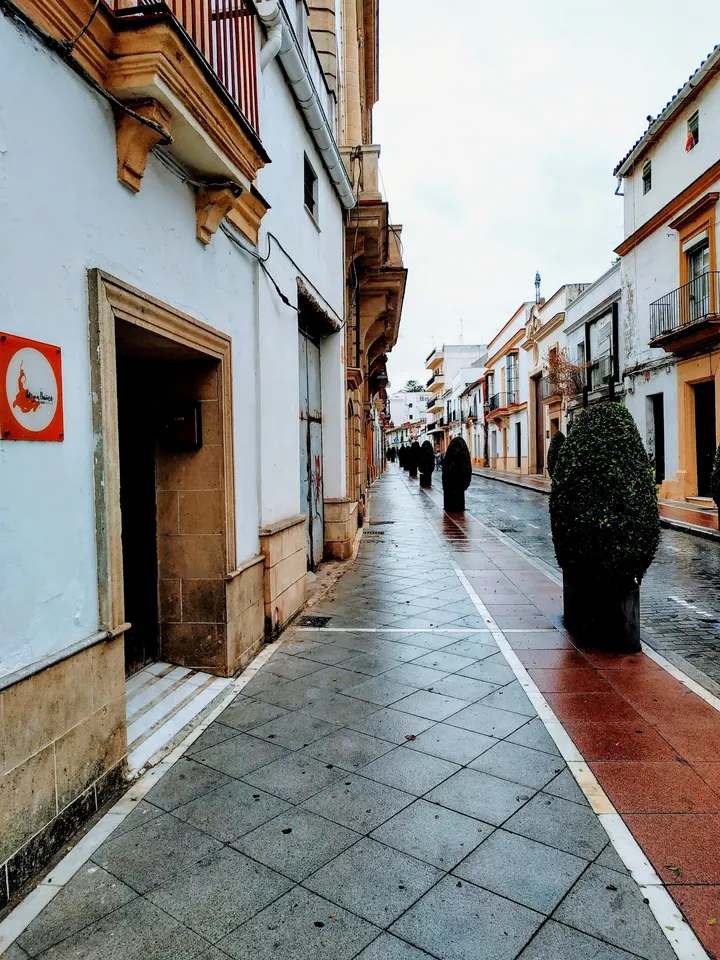Patricia Ibáñez — baile-studio en Jerez de la Frontera — 3