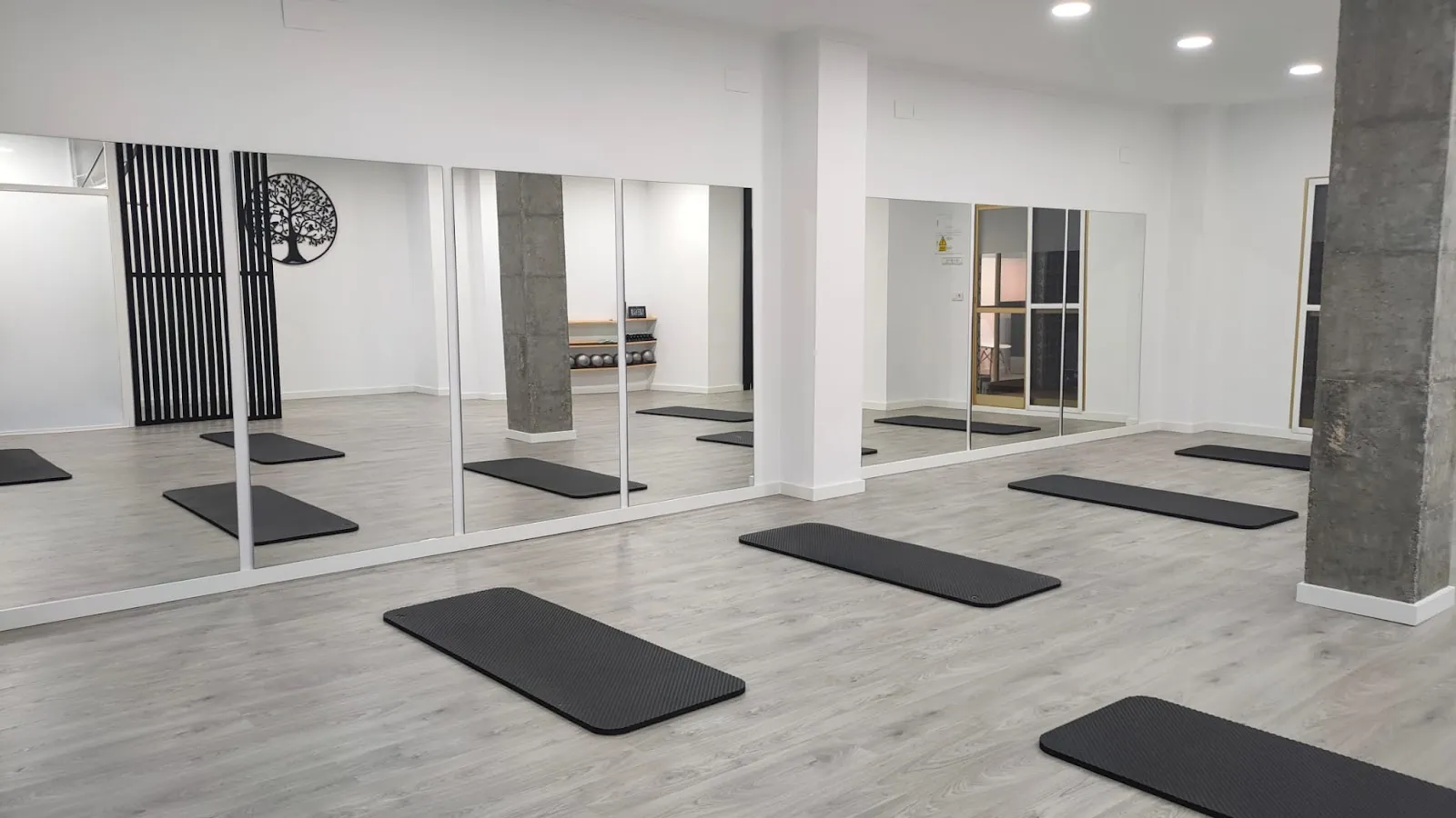 Pilates Élite — pilates-studio en Sant Vicent del Raspeig — 2