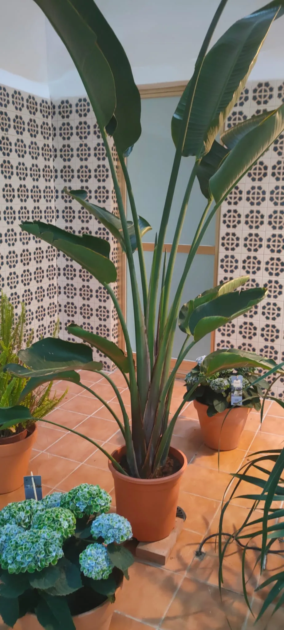 Pilates Élite — pilates-studio en Sant Vicent del Raspeig — 3