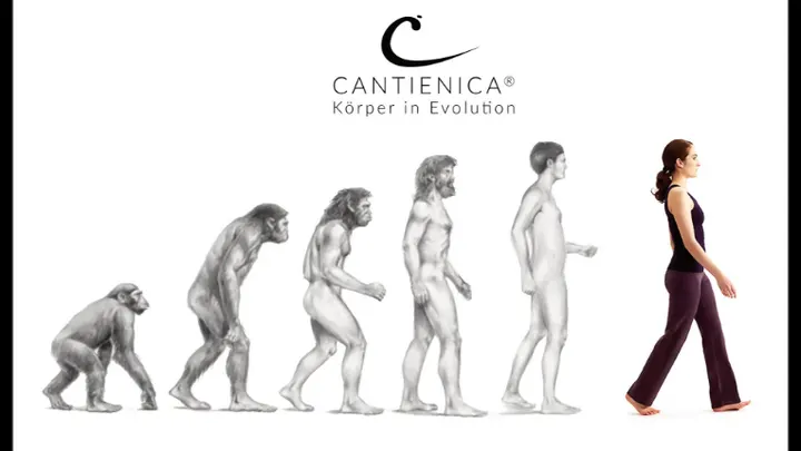 CANTIENICA - Training Regensburg - Stella Baeumel — Pilates in Galgenberg, Regensburg