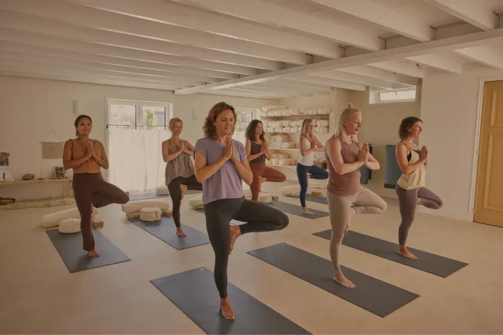 Yoga in Baarn & Flow met Fleur coaching — Yoga in Baarn