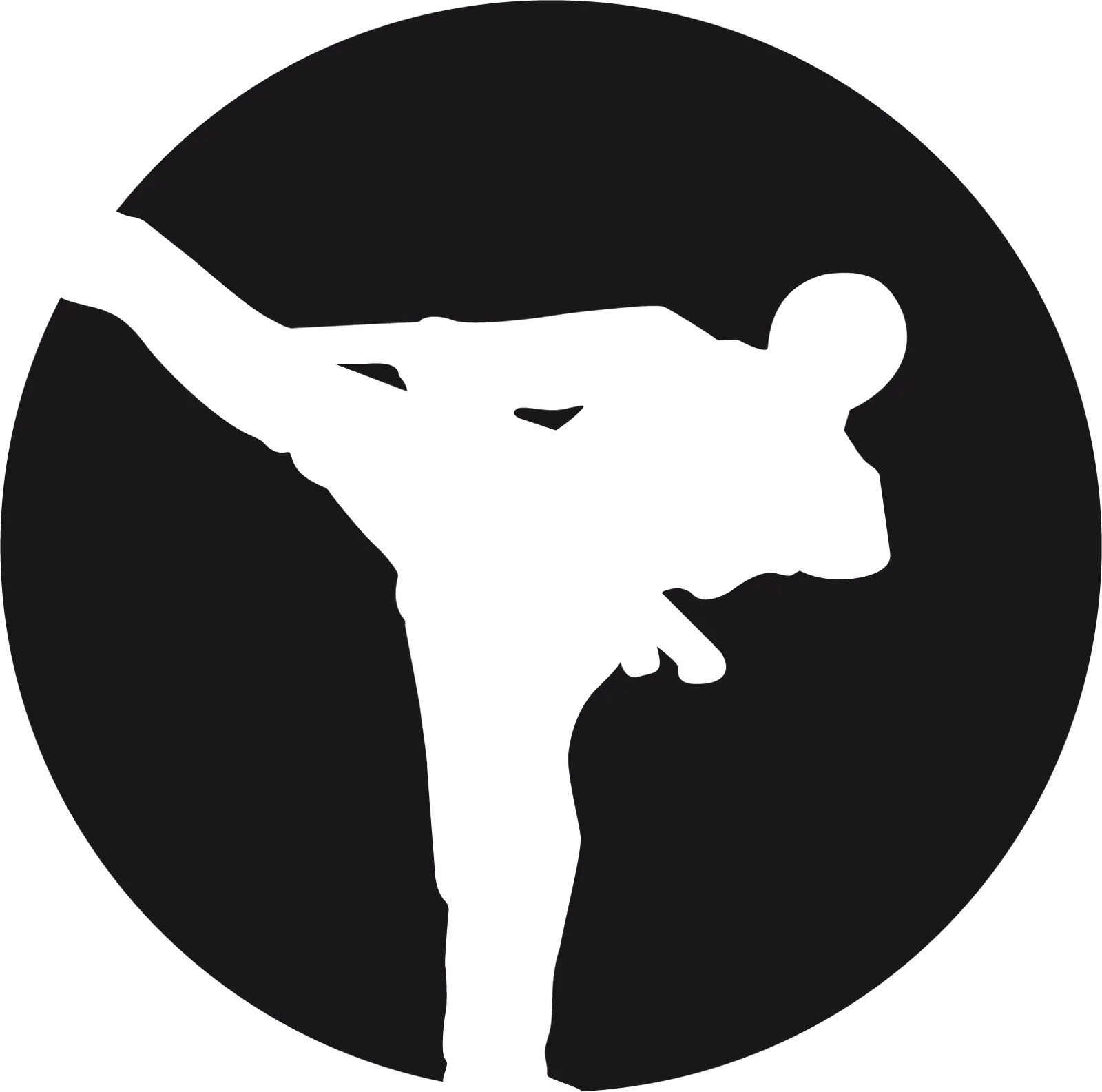 Viborg Kampsport, karate for børn og voksne — kampsport-studio i Søndermarken, Viborg — bild 2