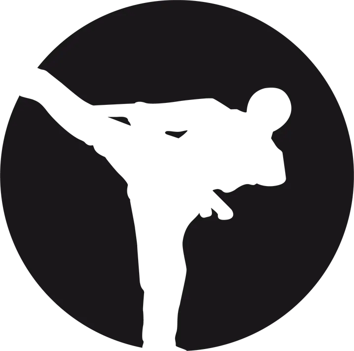 Viborg Kampsport, karate for børn og voksne — Træningsstudio i Søndermarken, Viborg