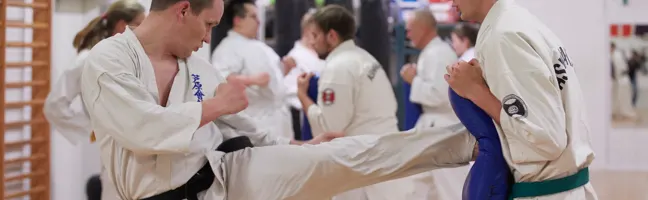 Viborg Kampsport, karate for børn og voksne — kampsport-studio i Søndermarken, Viborg — 2
