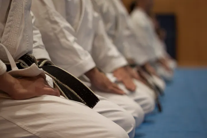 PSV KARATE — Kampfsport in Oststadt, Mannheim