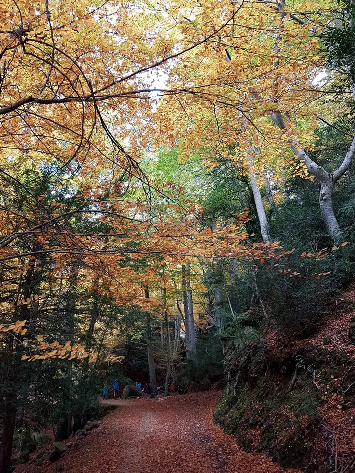 Irisyogama — yoga-studio en la Pobla de Benifassà — 5