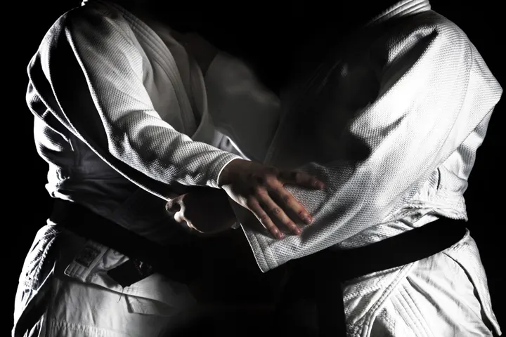 La maison du Judo — arts martiaux-studio à Aiguerelles, Montpellier — 2