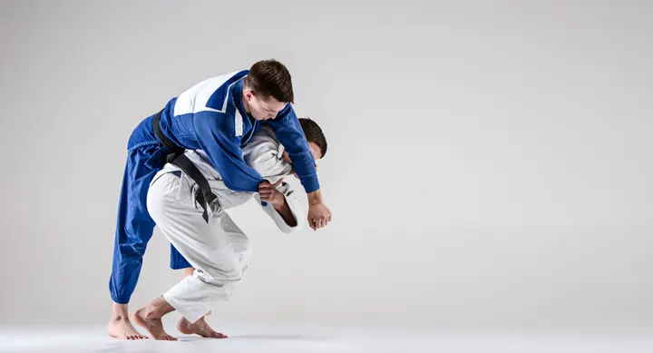 La maison du Judo — arts martiaux-studio à Aiguerelles, Montpellier — 3