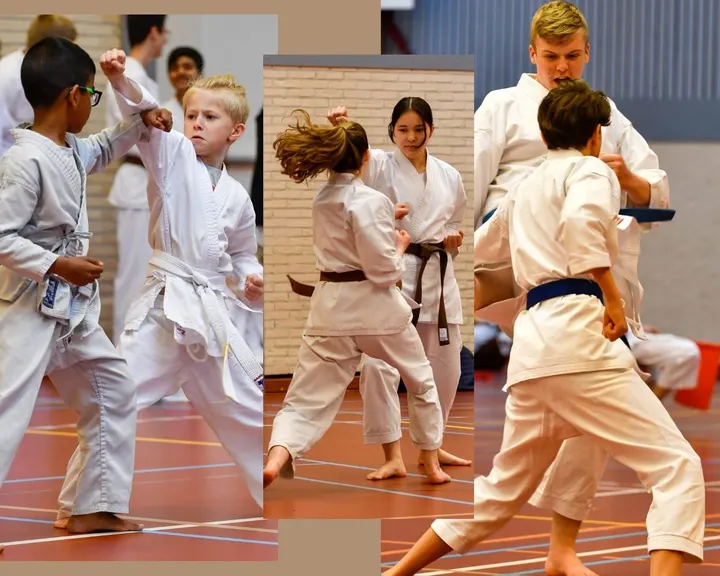 Zanshin Heemskerk — Vechtsport in De Ladder, Heemskerk