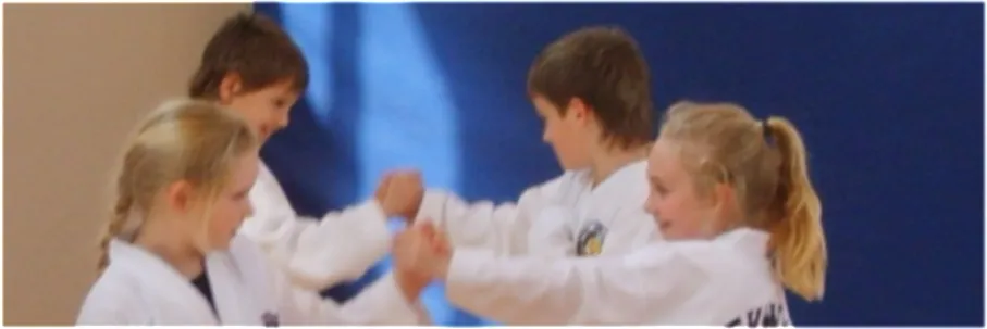 Holstebro Taekwondo Klub — kampsport-studio i Holstebro — 3