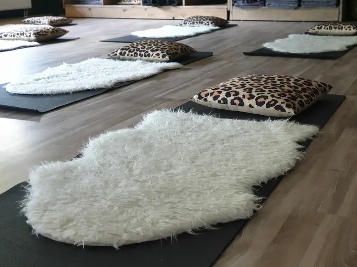 Miranda Klomp Yoga en Coaching — yoga-studio in Wijchen — 3