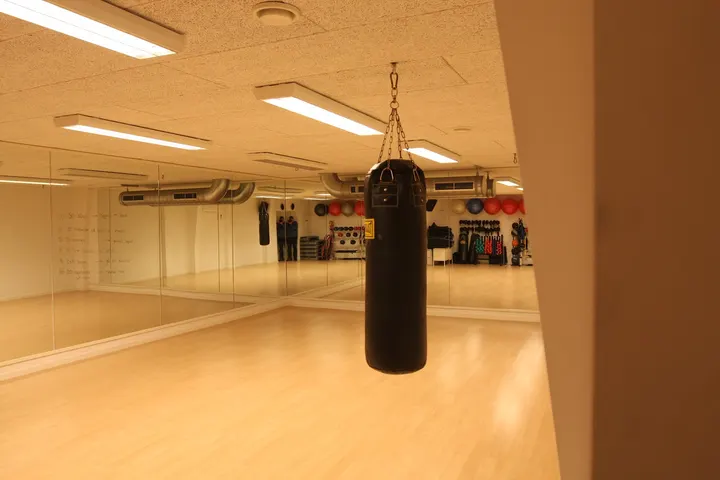 Shape Fitness & Motion ApS — Træningsstudio i Gauerslund, Børkop