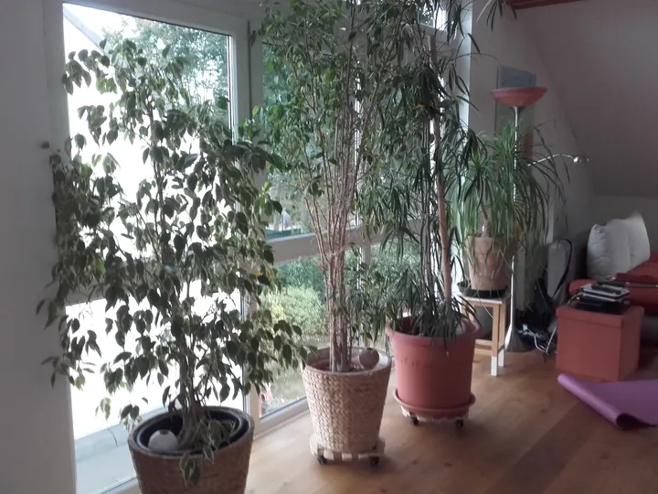 Entspannungskurse-Gelsenkirchen — breathwork-studio in Gelsenkirchen — 5
