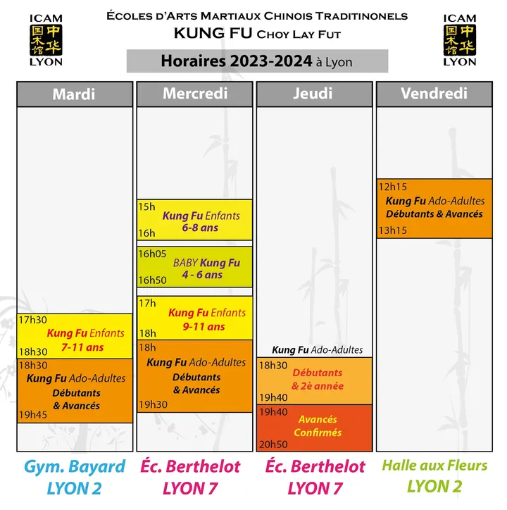 ICAM-Lyon : Kung Fu (Choy Lay Fut) & Taï Chi Chuan (Yang) — arts martiaux-studio à Lyon 2e Arrondissement, Lyon — 2