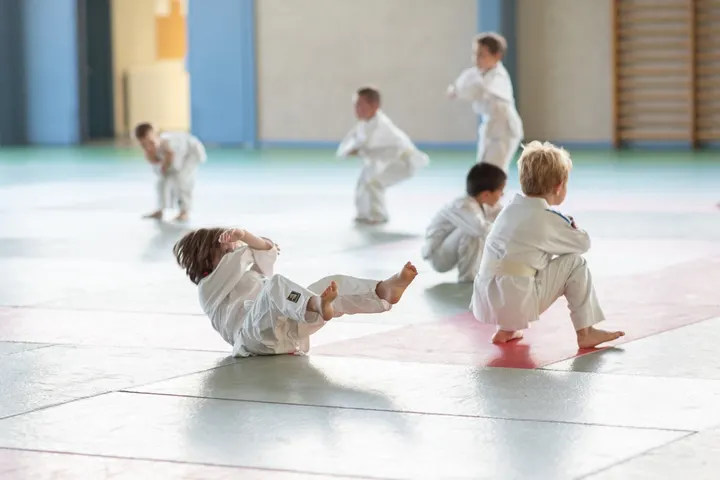 Judo Club de la Motte Servolex — arts martiaux-studio à La Motte-Servolex — 2