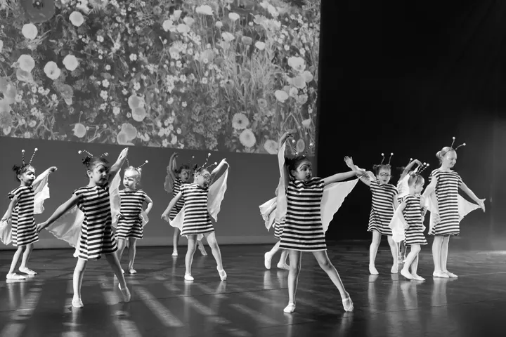 Dansstudio Linde — dans-studio in Arnhem-Zuid, Arnhem — 2