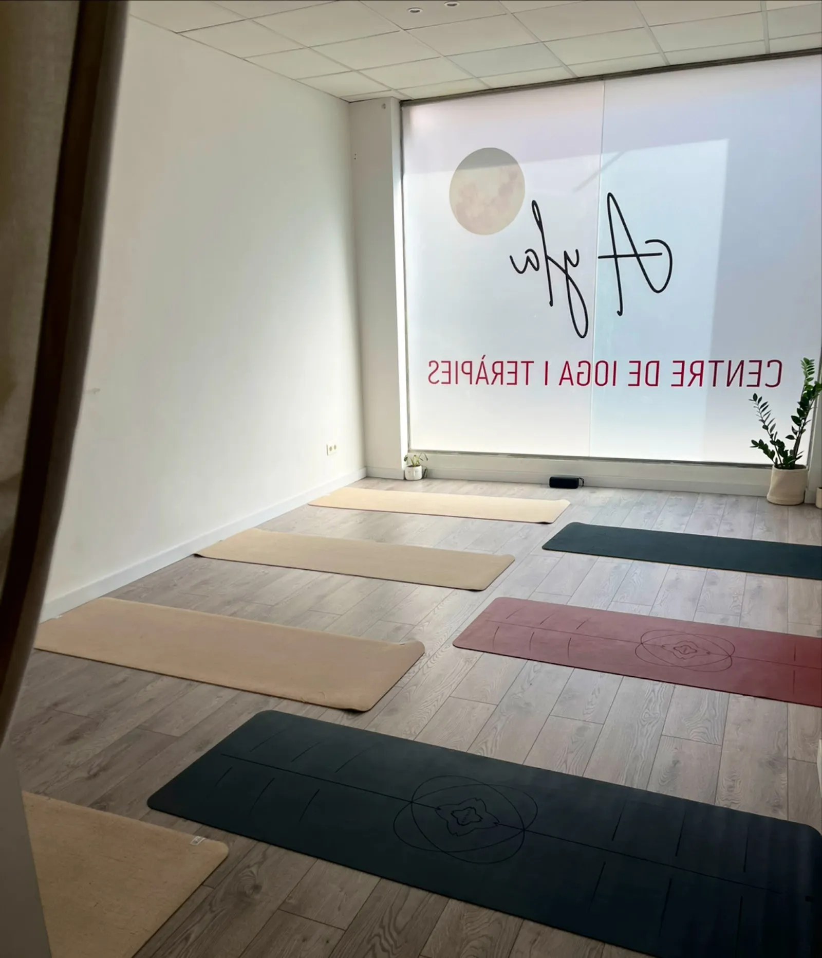 AYLA Ioga I Teràpies Terrassa — yoga-studio en Ca n'Aurell, Terrassa — 2