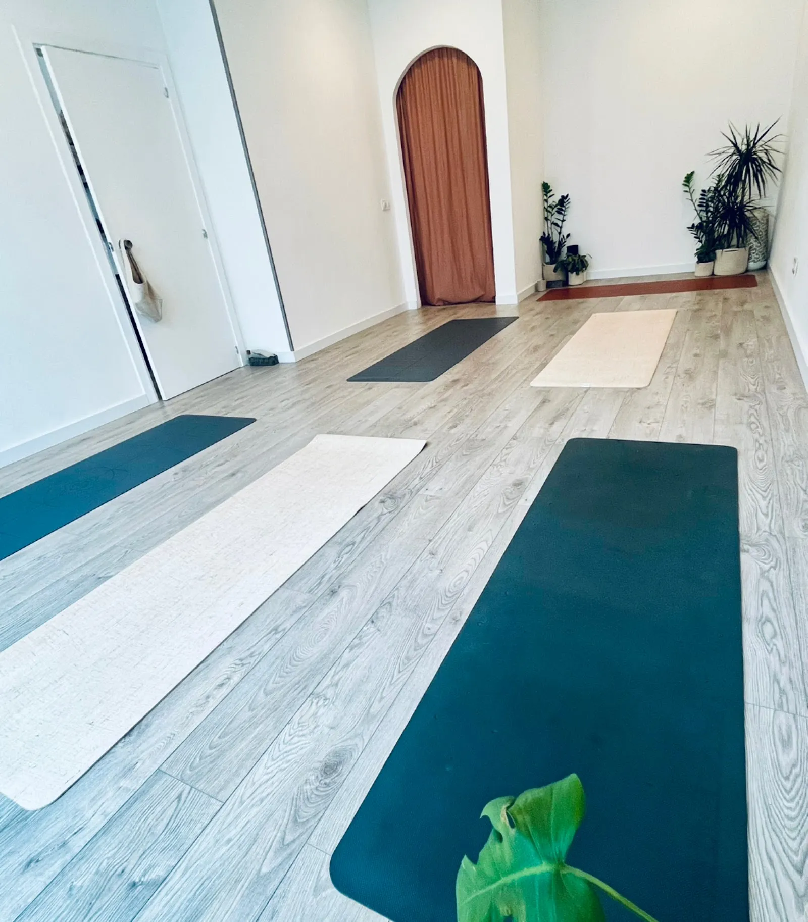 AYLA Ioga I Teràpies Terrassa — yoga-studio en Ca n'Aurell, Terrassa — 3