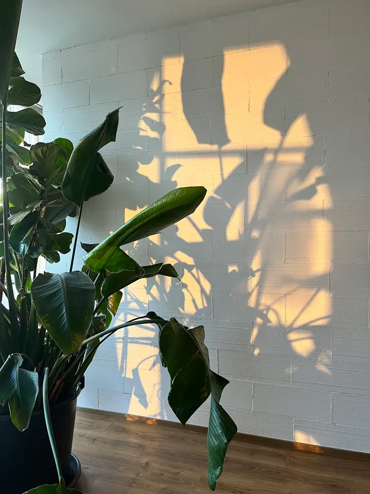 El 7 — yoga-studio en Barcelona — 4