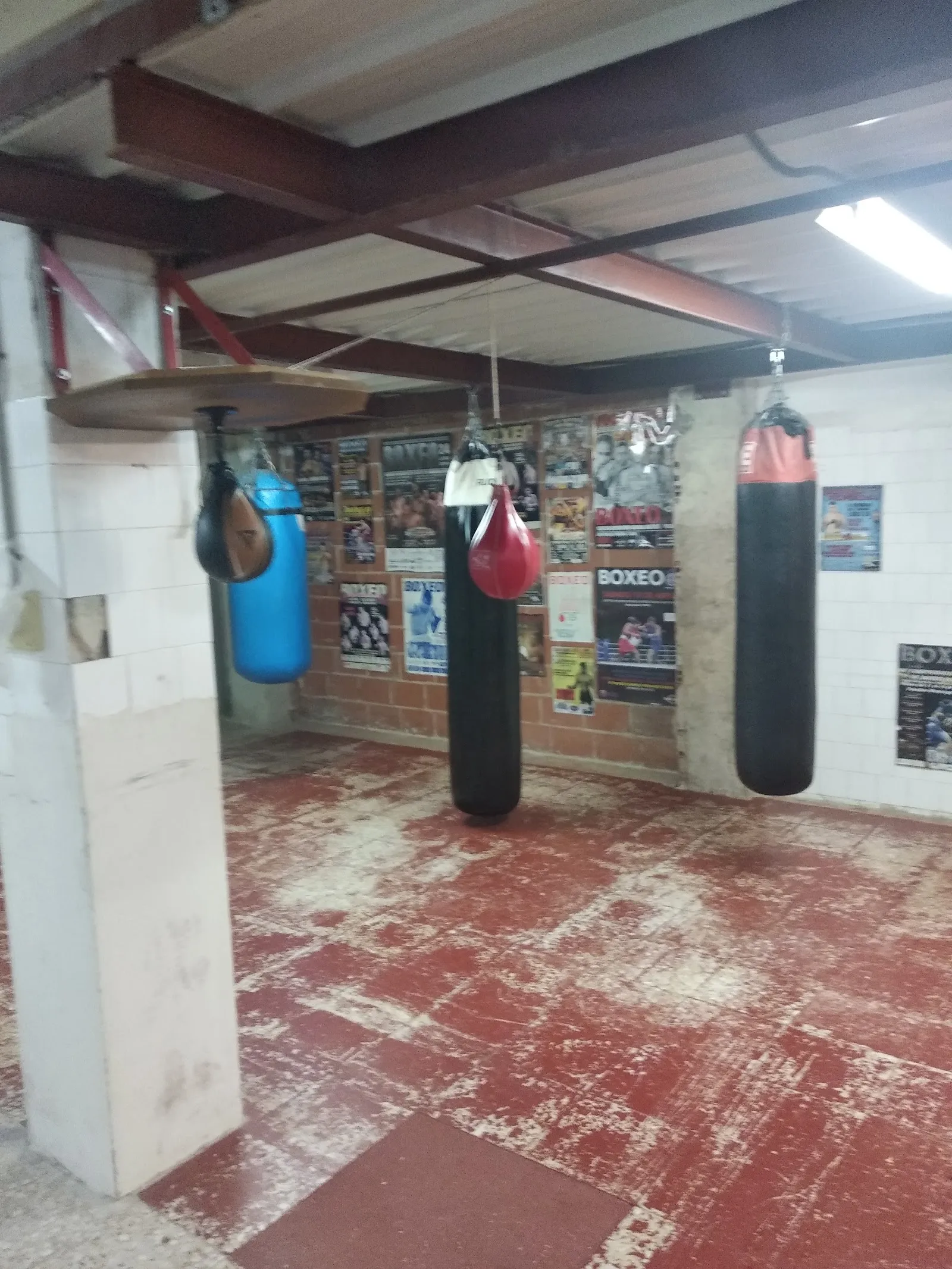 Boxing Friends — artes marciales-studio en San Vicente del Raspeig — 4
