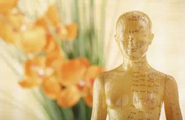 Yogapraktijk Een nieuwe Balans — yoga-studio in Woensel-Zuid, Eindhoven — 2