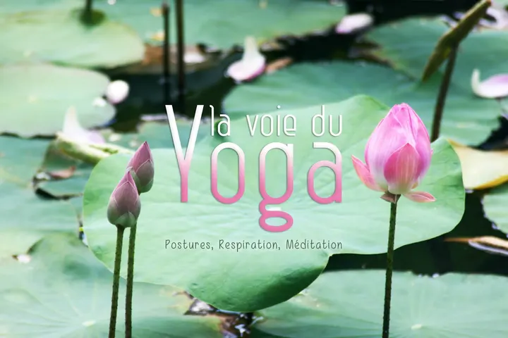 Laude DEMAY La Voie du Yoga — yoga-studio à Aix-en-Provence — 5