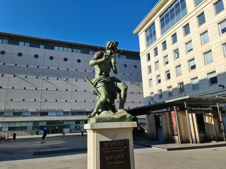 Piscine Olympique Angelotti — studio à Montpellier — 5