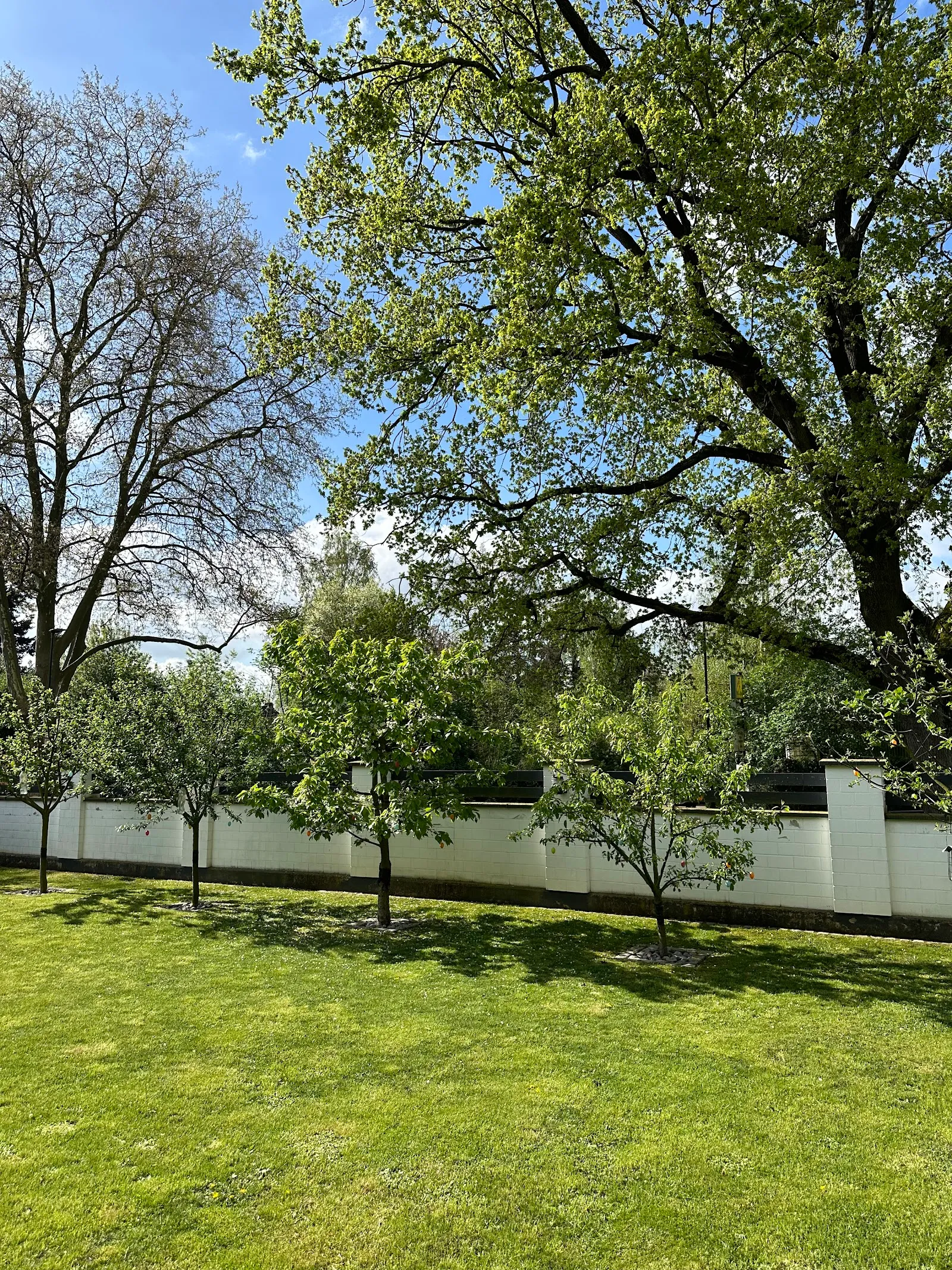 Yoga Waves by Julia Winkels — yoga-studio in Kerpen, Köln — 3