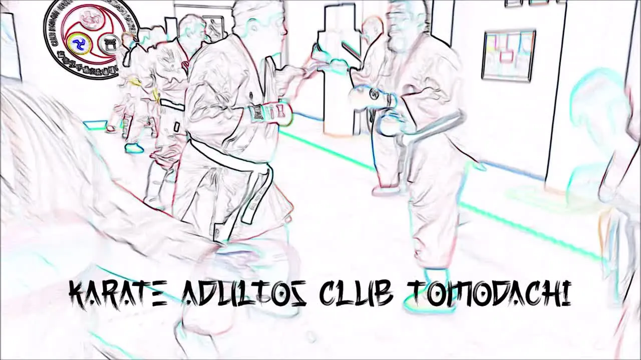 CLUB DEPORTIVO TOMODACHI CASTELLÓ — artes marciales-studio en Castelló de la Plana — 2