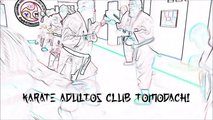 Club Deportivo Tomodachi Castelló — artes marciales-studio en Castellón de la Plana — 2